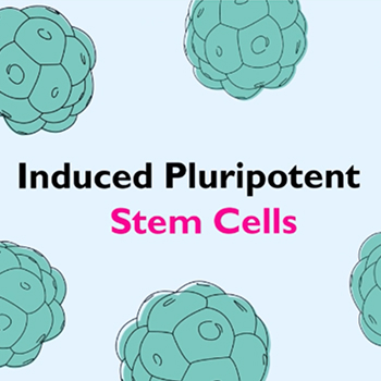 Bluerock Web & Branding gallery image 6