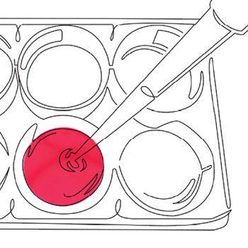 Bluerock Web & Branding gallery image 1