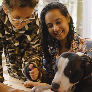 Care222 gallery image 4